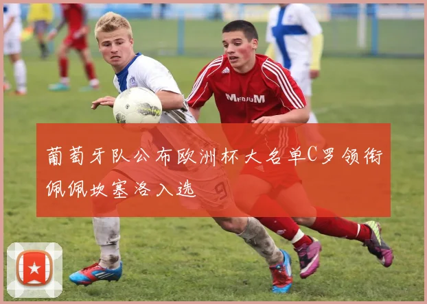 葡萄牙队公布欧洲杯大名单C罗领衔佩佩坎塞洛入选